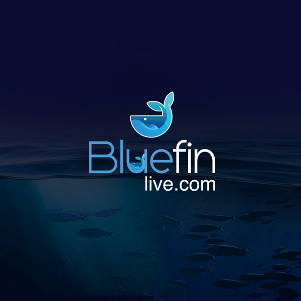 Bluein Client Portfolio Profile image